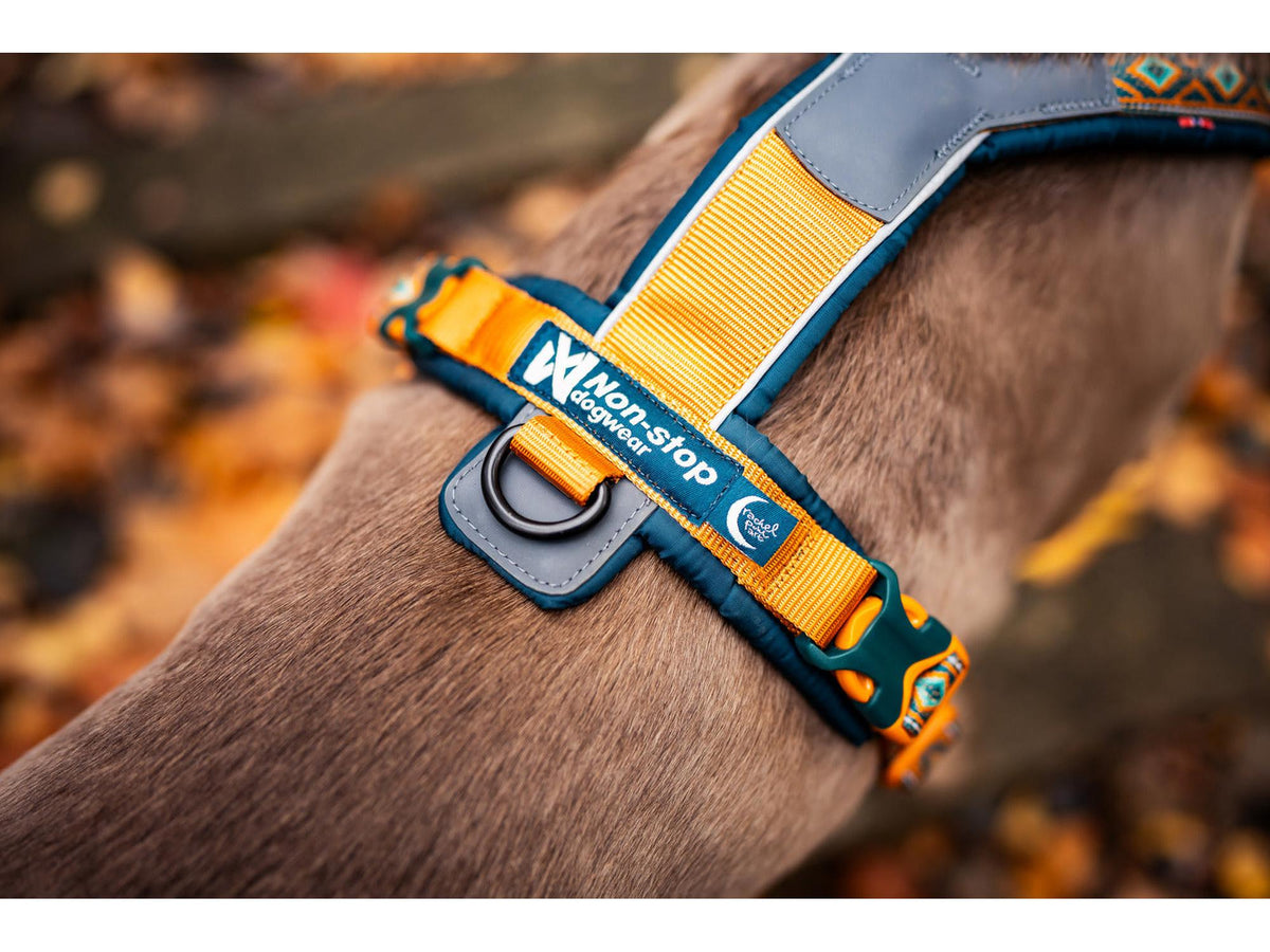 Non-stop dogwear Line harness 5.0 RP signature edition – Teal/eik