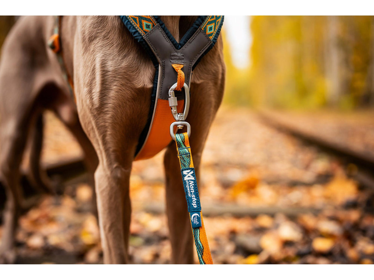Non-stop dogwear Trail quest leash Rachel Pohl edition leiebånd – Teal/eik
