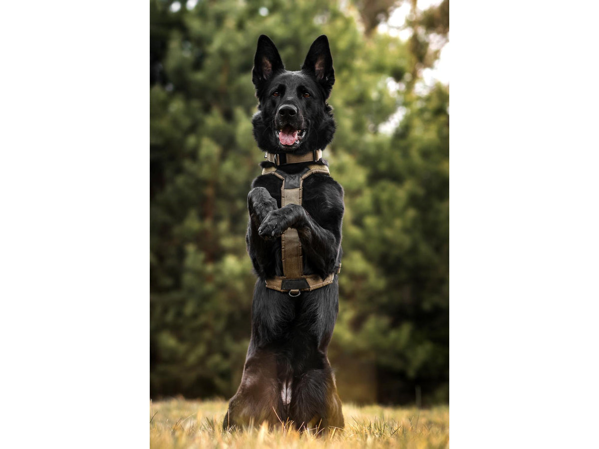 Non-stop dogwear Line harness grip WD hundesele – Oliven