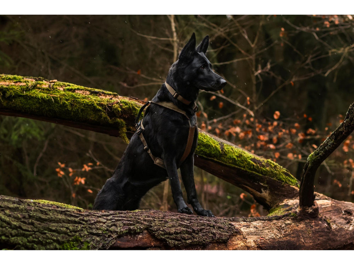 Non-stop dogwear Line harness grip WD hundesele – Oliven