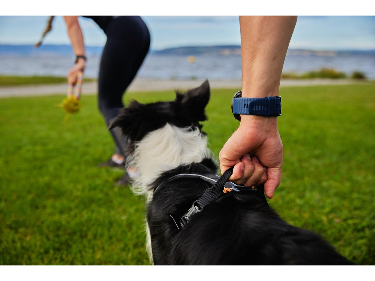 Non-stop dogwear Line harness grip hundesele – Svart