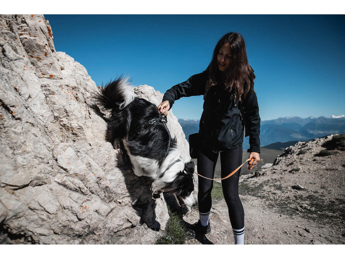 Non-stop dogwear Line harness grip hundesele – Svart