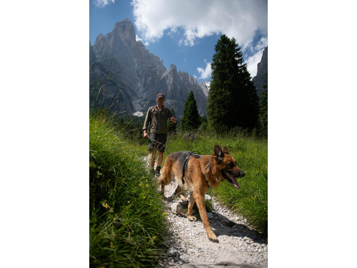 Non-stop dogwear Line harness grip hundesele – Svart