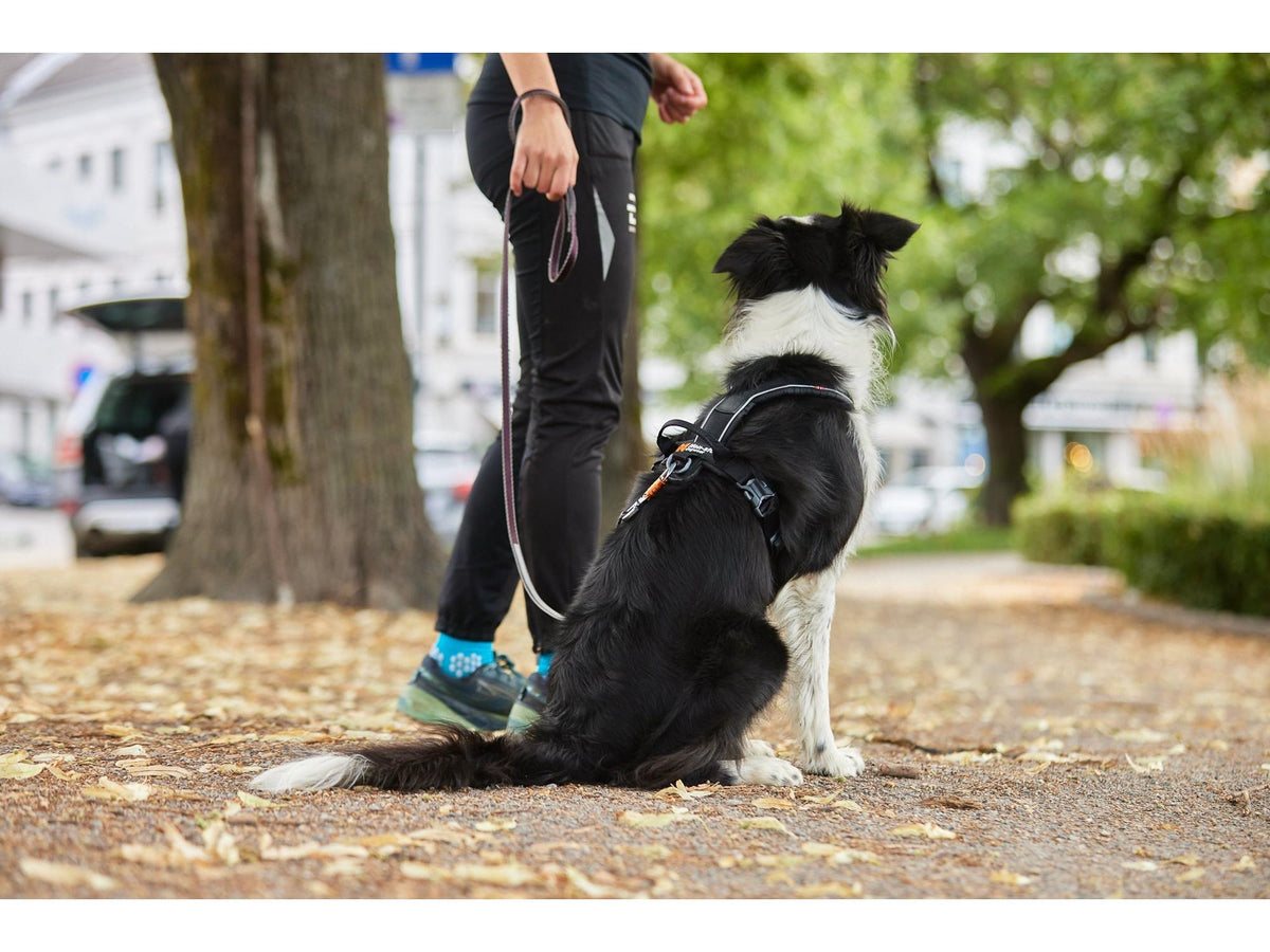 Non-stop dogwear Line harness grip hundesele – Svart