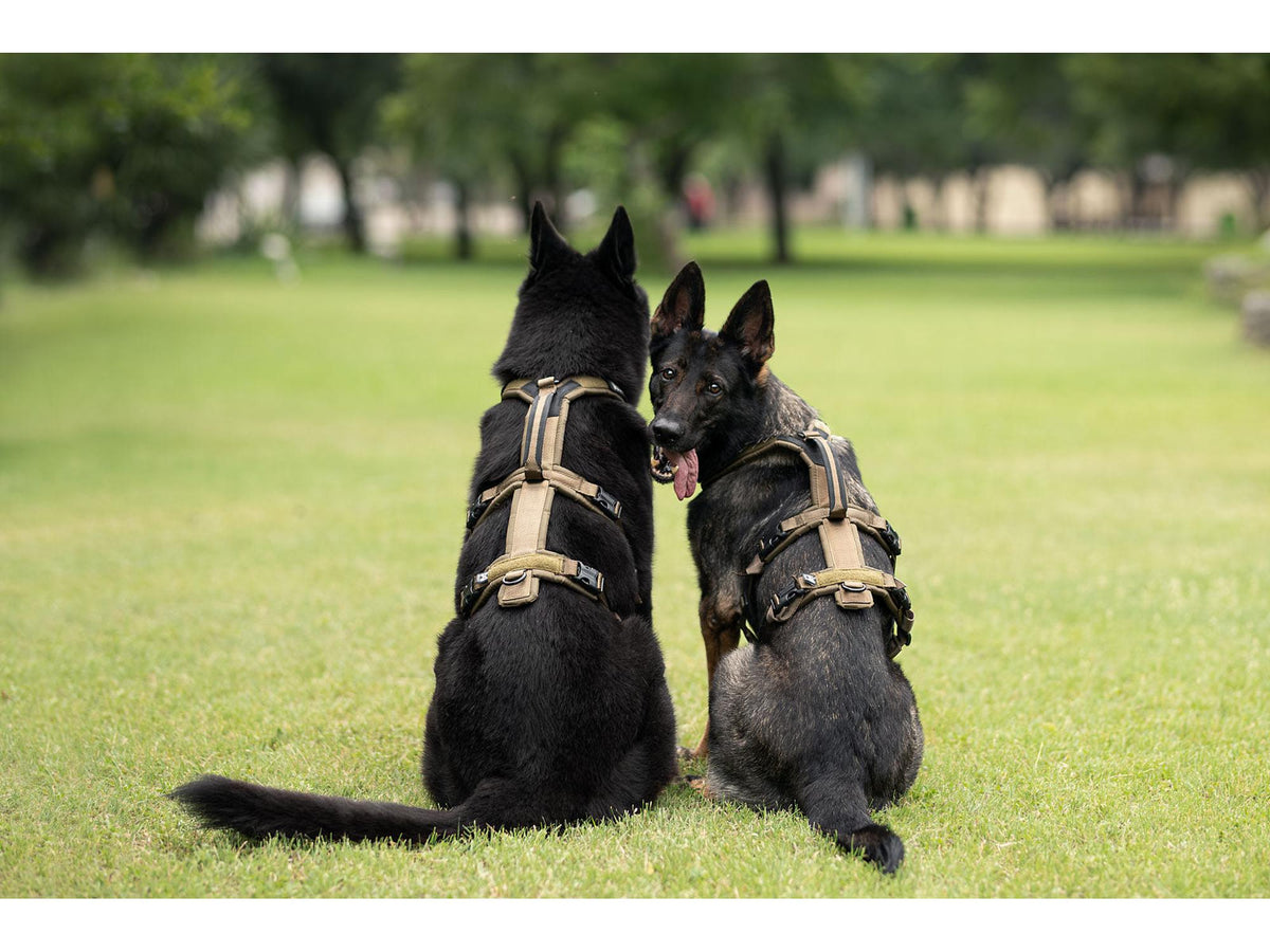 Non-stop dogwear Line harness long WD hundesele – Oliven