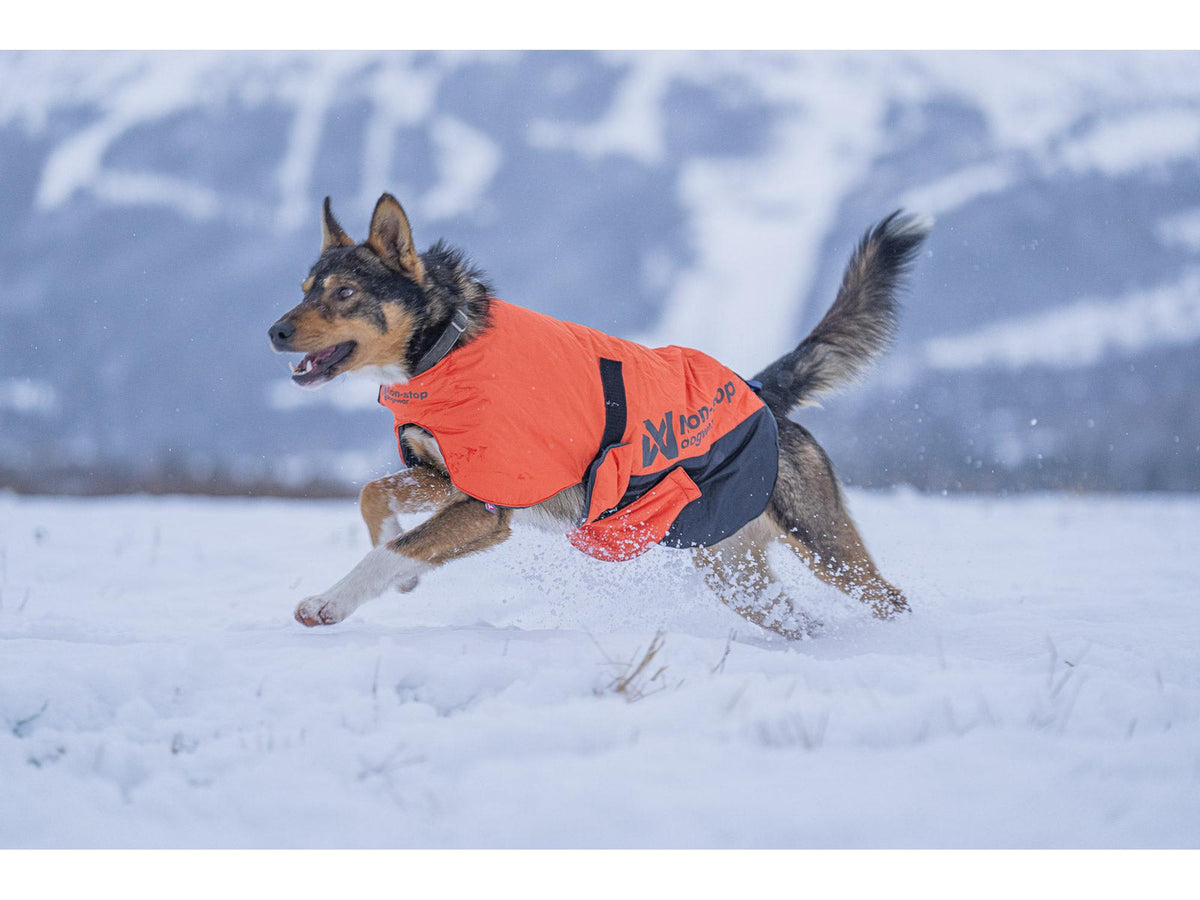 Non-stop dogwear Long distance + jacket vinterjakke – Oransje