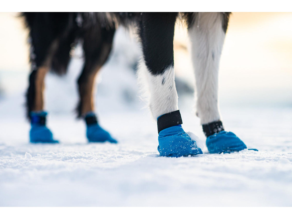 Non-stop dogwear Long distance bootie potesokker – Blå