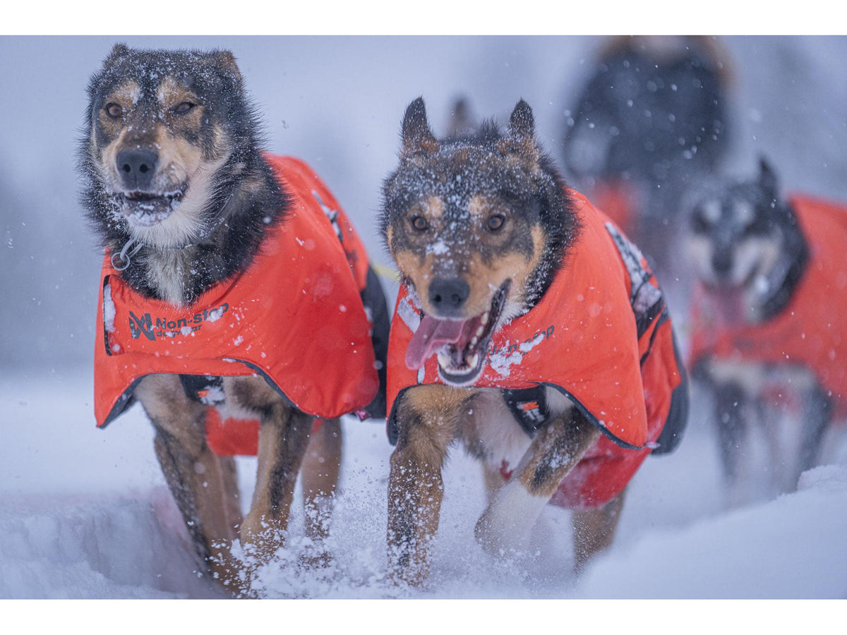 Non-stop dogwear Long distance + jacket vinterjakke – Oransje