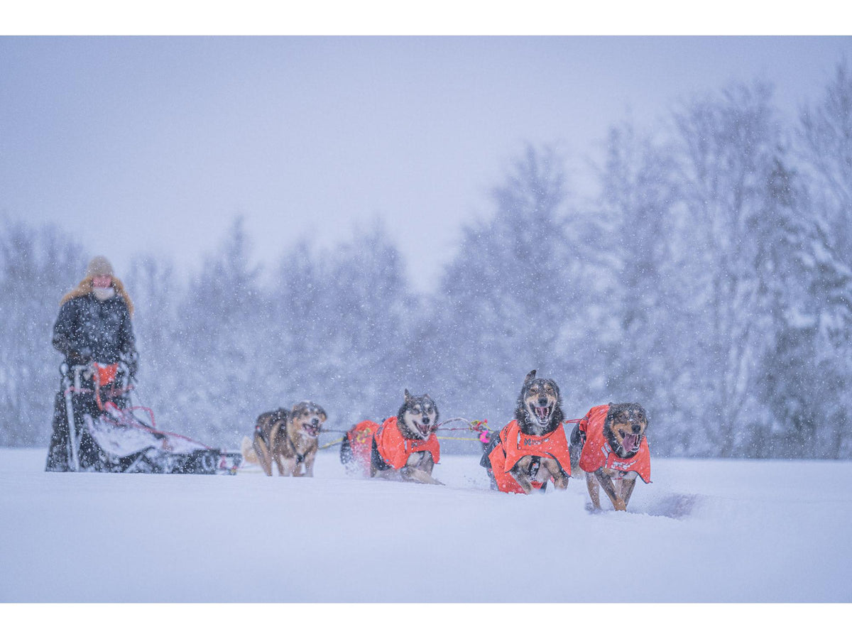 Non-stop dogwear Long distance + jacket vinterjakke – Oransje