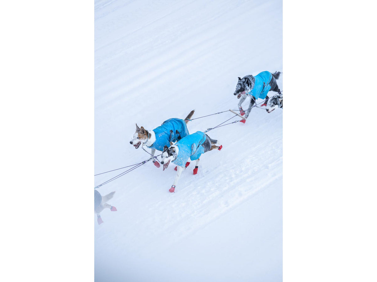 Non-stop dogwear Long distance light jacket lett jakke – Blå