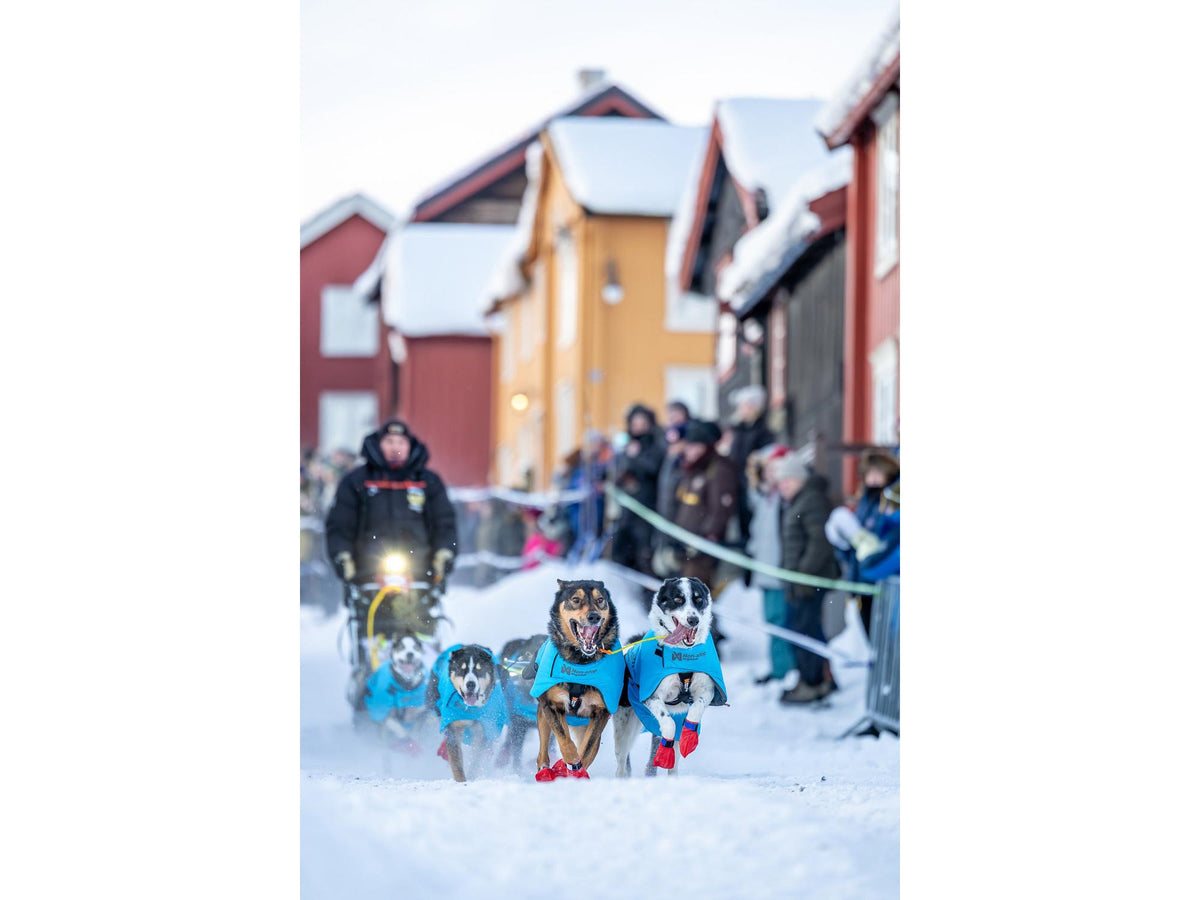 Non-stop dogwear Long distance light jacket lett jakke – Blå