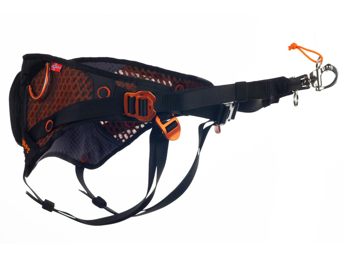 Non-stop dogwear Løype belt skibelte – Svart/oransje
