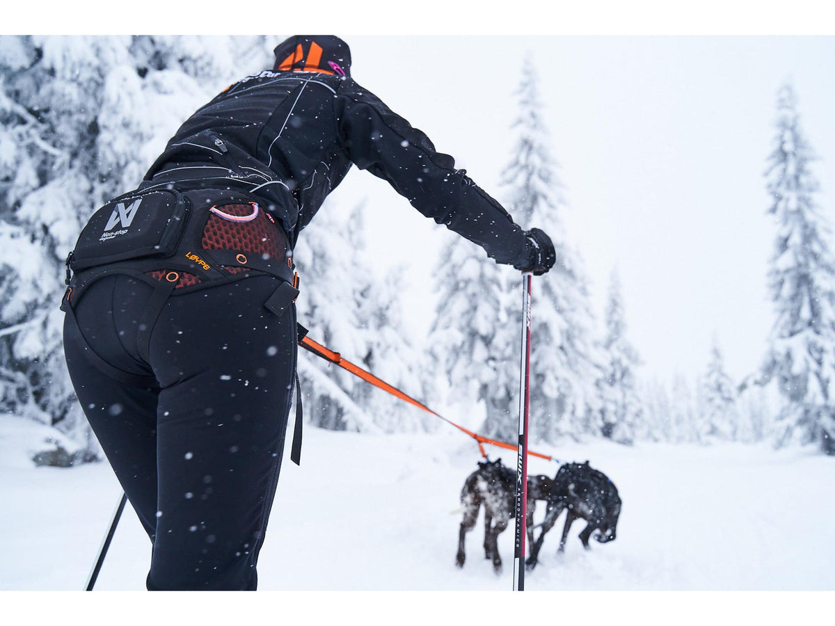 Non-stop dogwear Løype belt skibelte – Svart/oransje