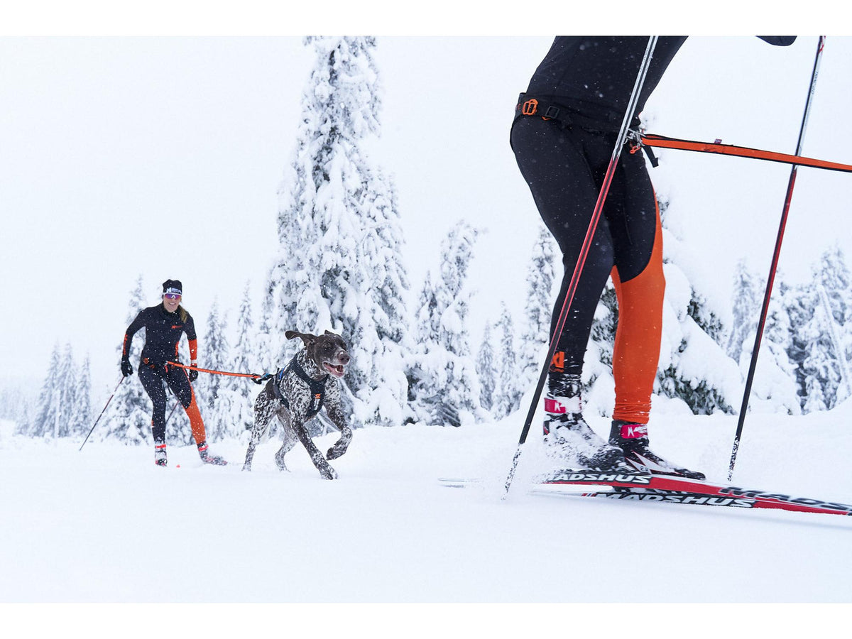 Non-stop dogwear Løype belt skibelte – Svart/oransje