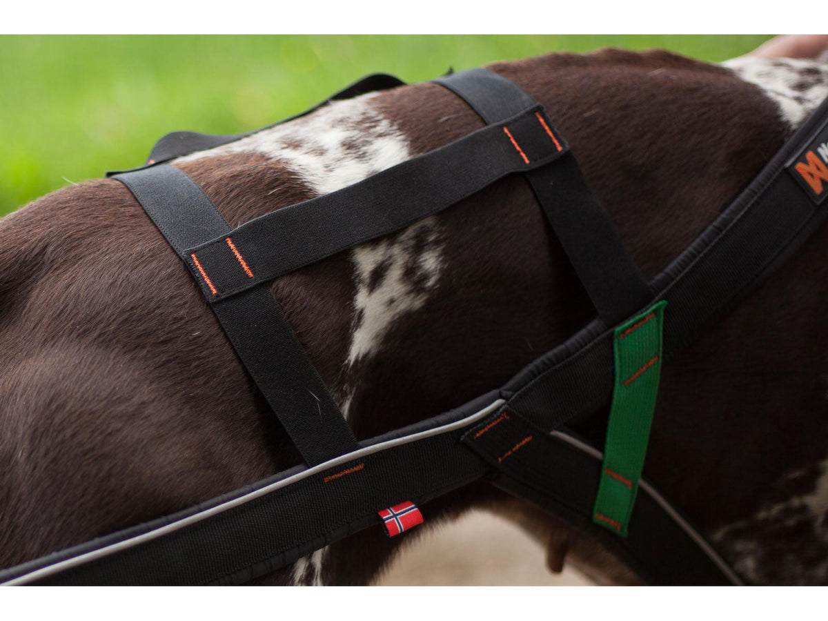 Non-stop dogwear Nansen stick harness trekksele – Svart