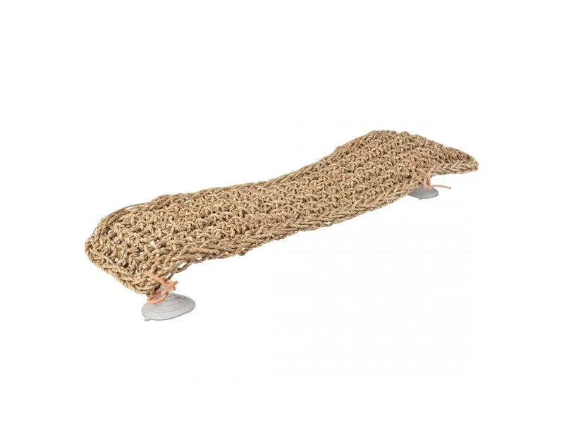 Terra Della Reptilseng Rektangulær 75 × 17,8 cm