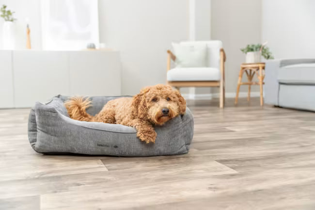 Trixie Vital Bed Lennox Ortopedisk Hundeseng