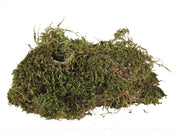 Trixie Mose til Terrarium 200 g