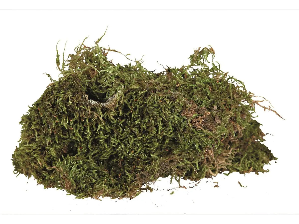 Trixie Mose til Terrarium 200 g
