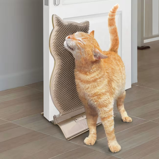KONG Connects Kitty Comber Selvpleiekam for Katt