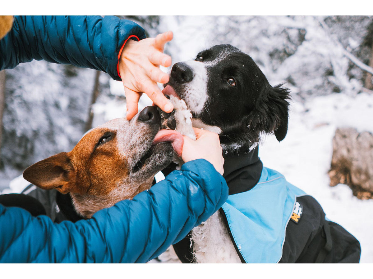 Non-stop dogwear Paw care potesalve