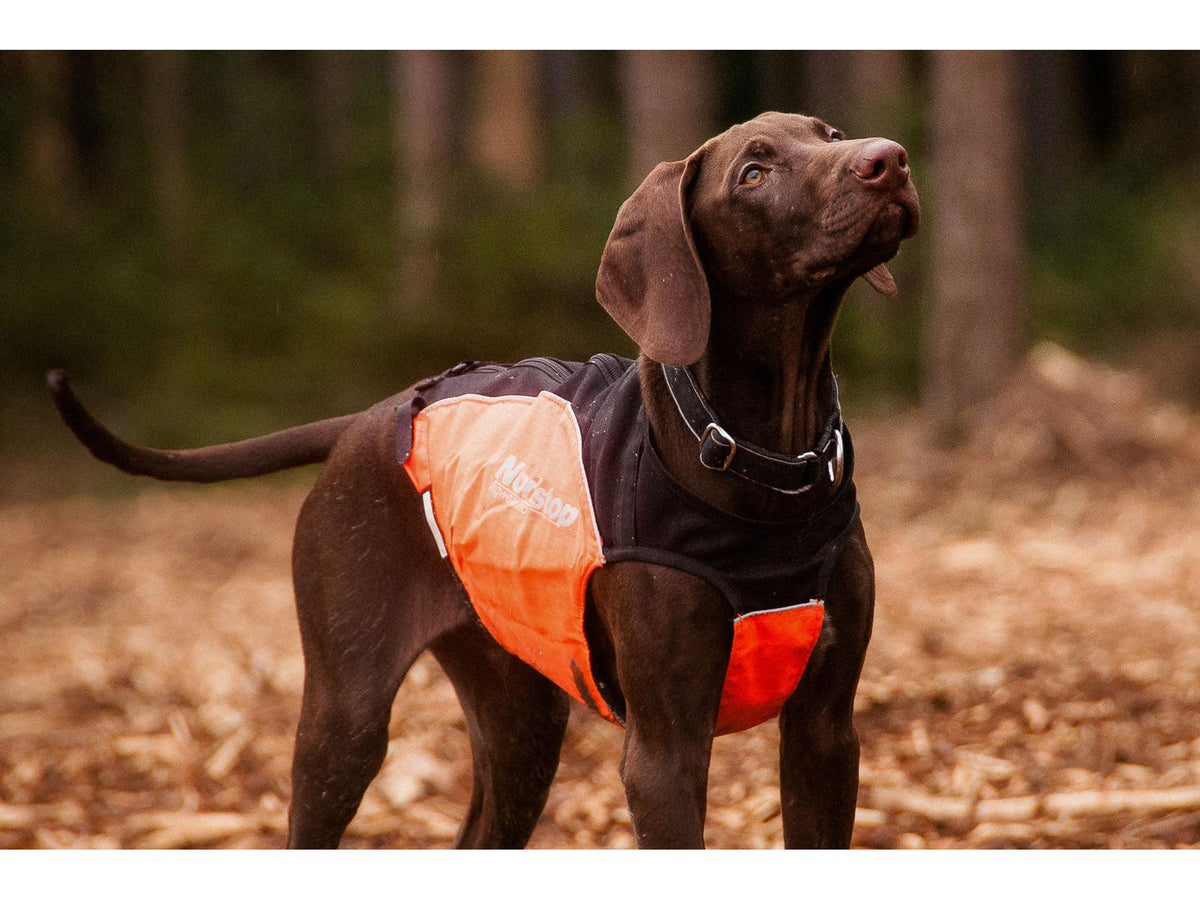 Non-stop dogwear Polar collar halsbånd – Svart