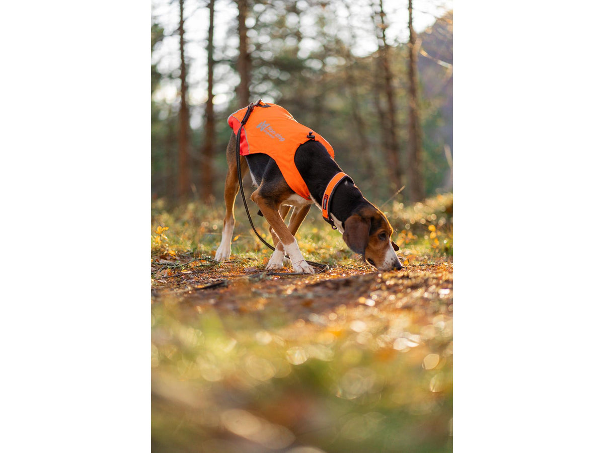 Non-stop dogwear Protector cover 2.0 synlighetsdekken – Oransje