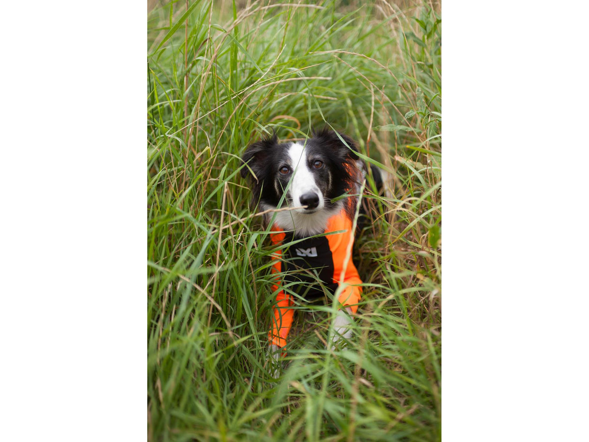 Non-stop dogwear Protector half suit beskyttelsestrøye – Oransje