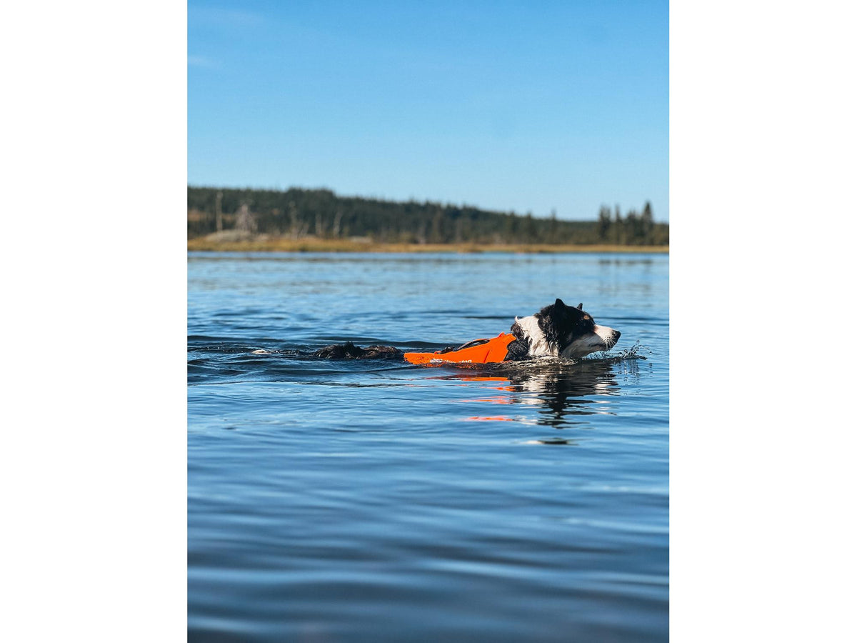 Non-stop dogwear Protector neoprene vest neoprenvest – Oransje