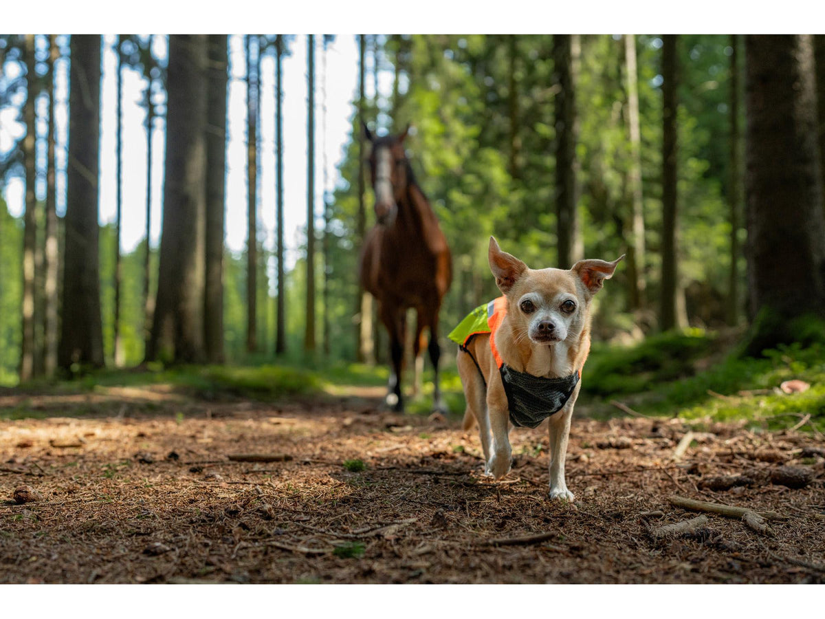 Non-stop dogwear Protector vest 2.0 beskyttelsesvest – Oransje