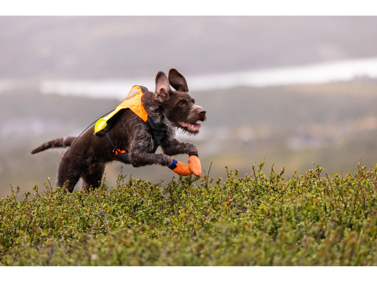 Non-stop dogwear Protector vest GPS 2.0 beskyttelsesvest – Oransje