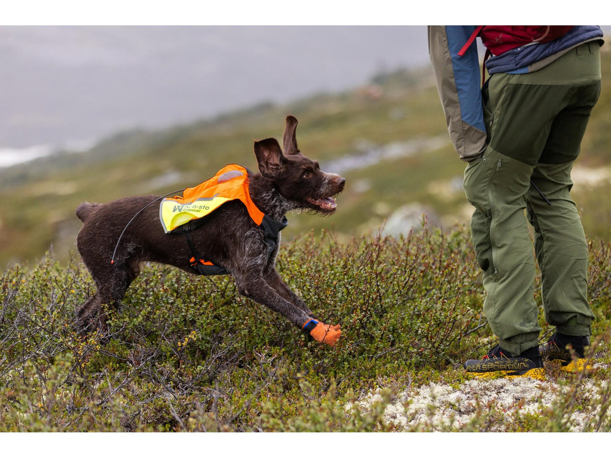 Non-stop dogwear Protector vest GPS 2.0 beskyttelsesvest – Oransje