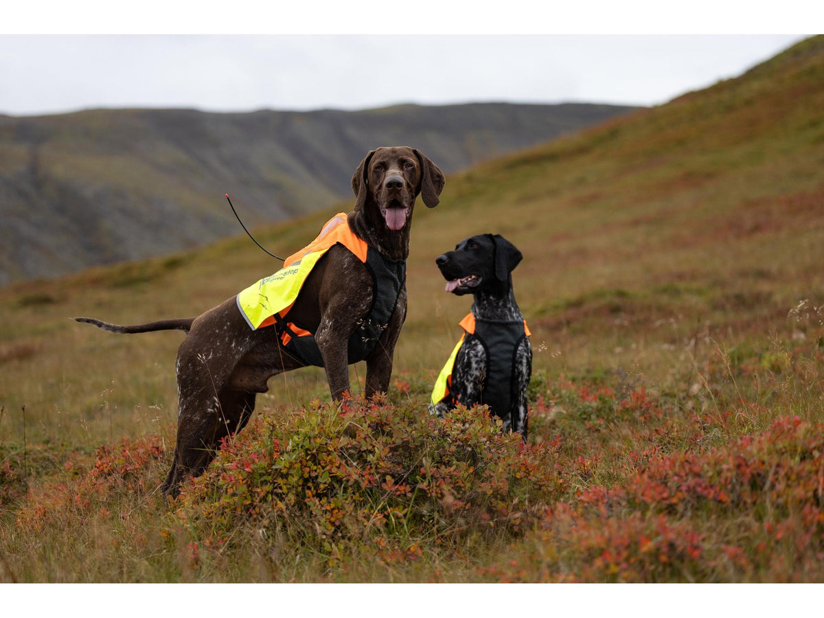 Non-stop dogwear Protector vest GPS 2.0 beskyttelsesvest – Oransje