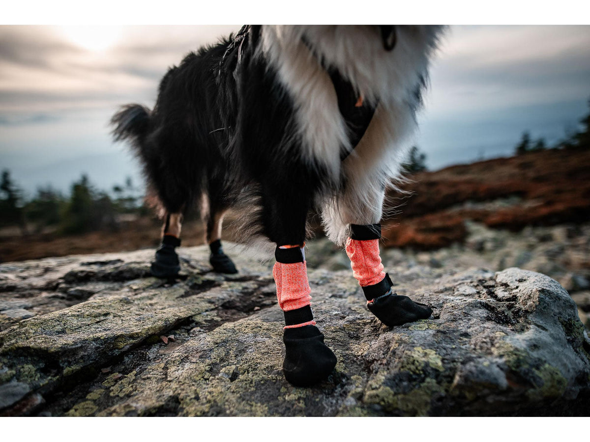 Non-stop dogwear Protector bootie high potesokker – Svart/oransje