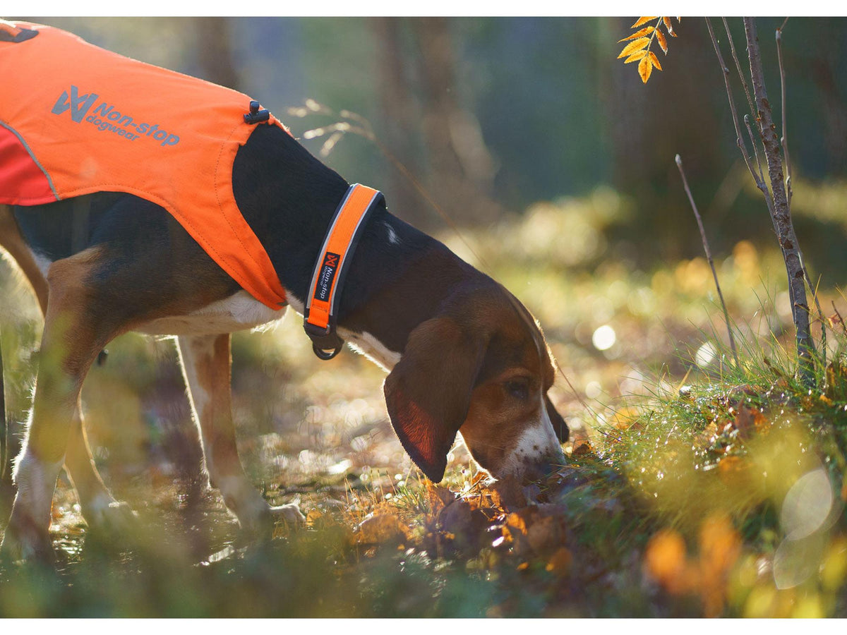 Non-stop dogwear Protector collar sikkerhetshalsbånd – Oransje