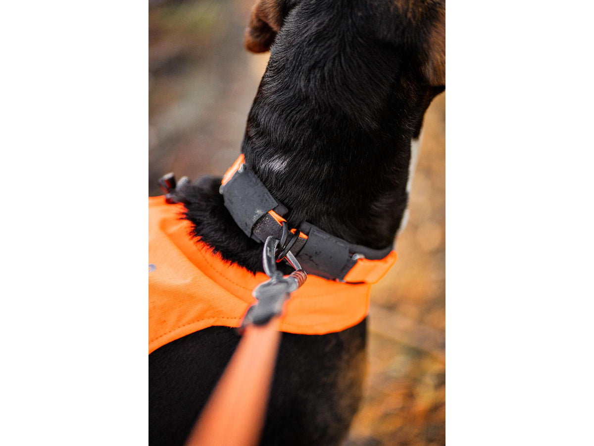 Non-stop dogwear Protector collar sikkerhetshalsbånd – Oransje