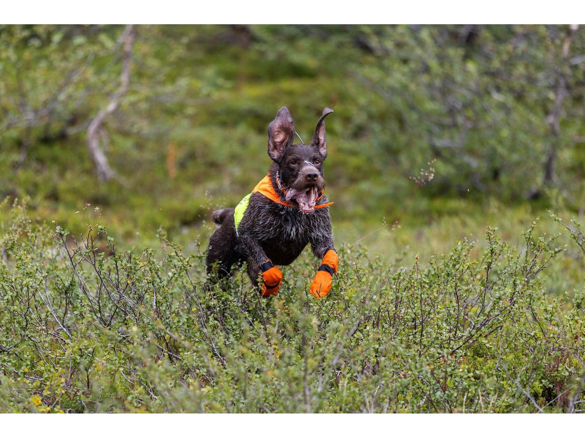 Non-stop dogwear Protector cover 2.0 synlighetsdekken – Hvit/svart/oransje – modellen vist i annen farge