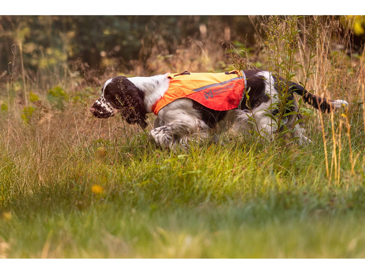 Non-stop dogwear Protector cover 2.0 synlighetsdekken – Hvit/svart/oransje – modellen vist i annen farge