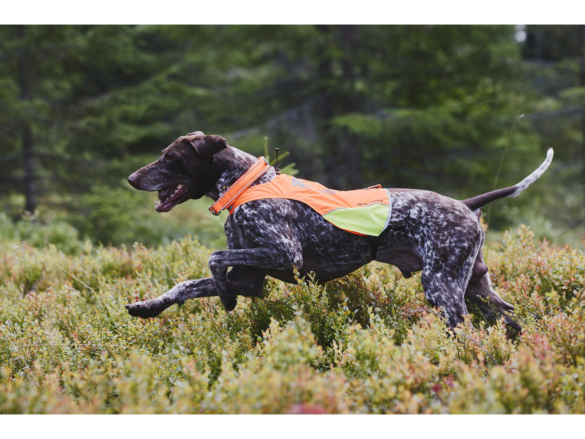 Non-stop dogwear Protector cover markeringsdekken – Oransje