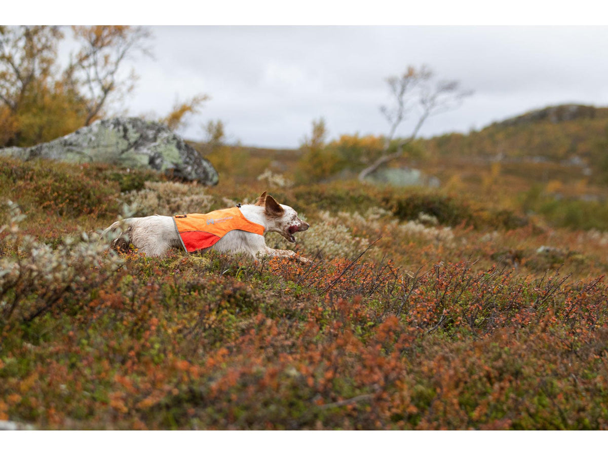 Non-stop dogwear Protector cover markeringsdekken – Oransje