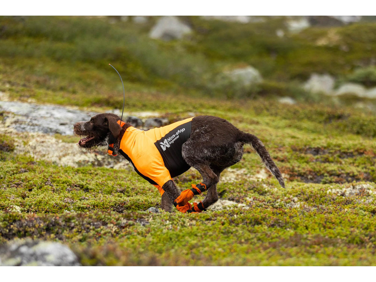 Non-stop dogwear Protector half suit beskyttelsestrøye – Oransje