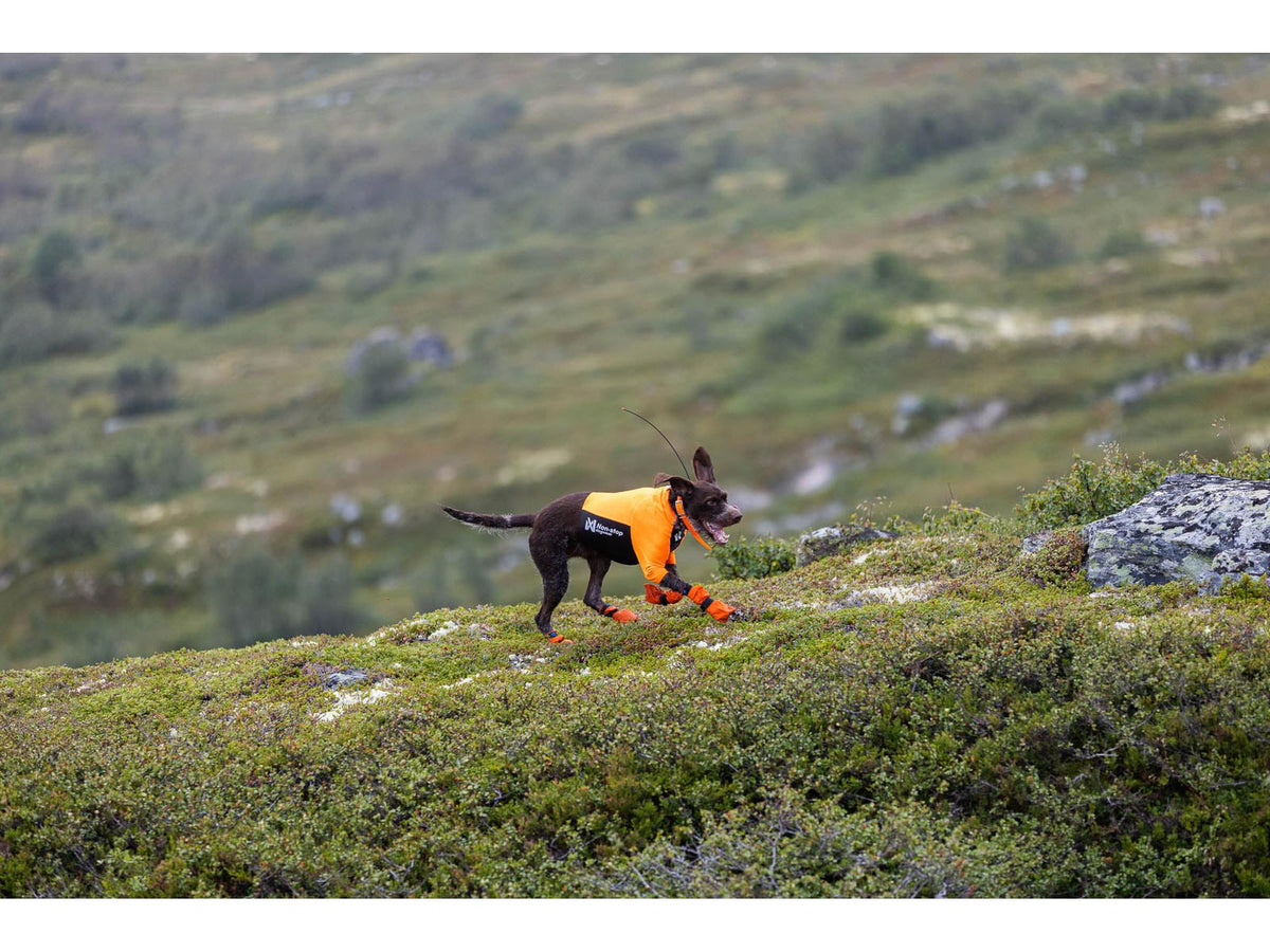 Non-stop dogwear Protector half suit beskyttelsestrøye – Oransje