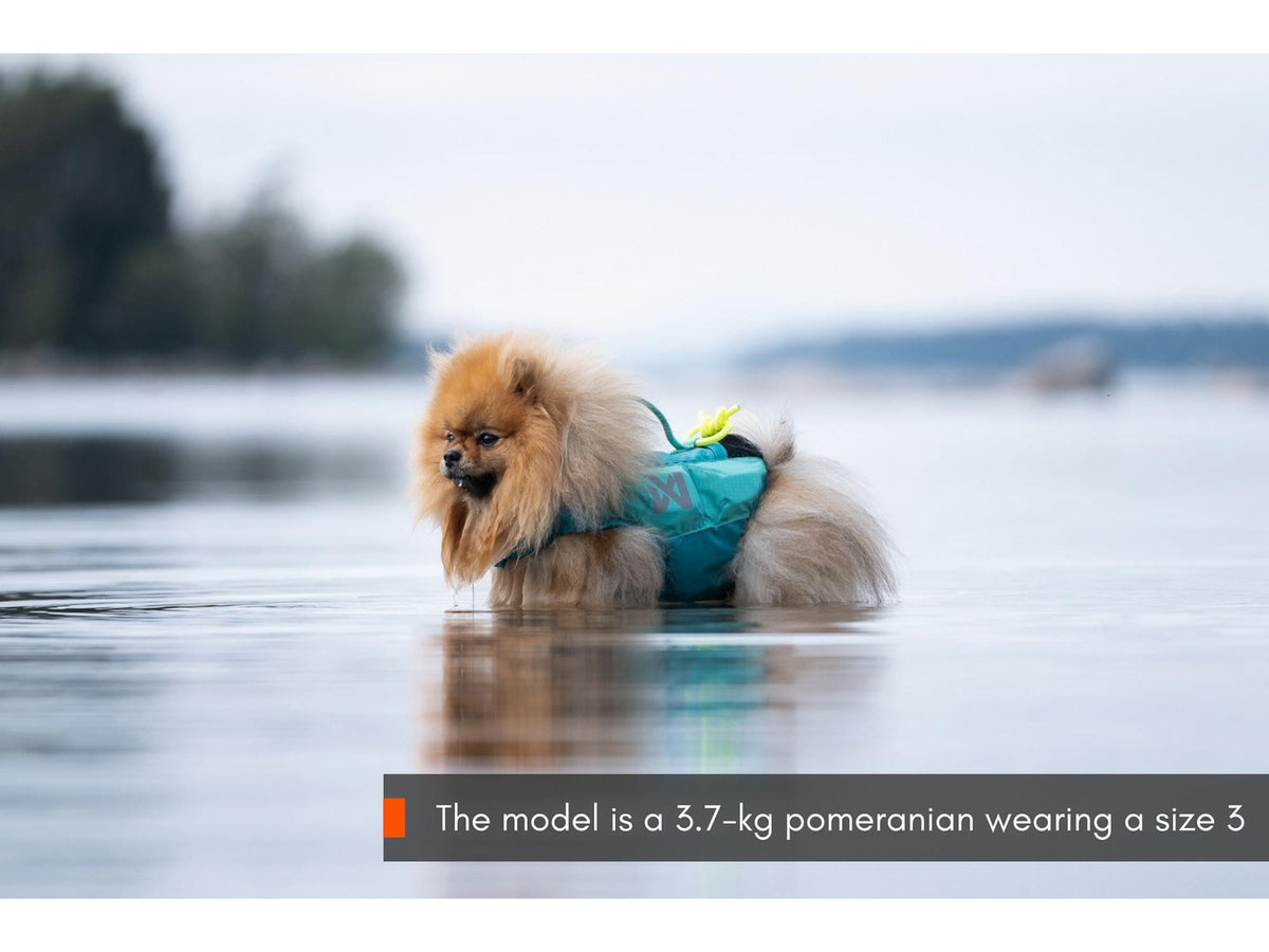 Non-stop dogwear Protector life jacket flytevest – Teal