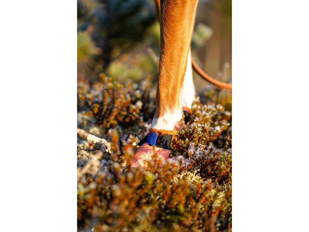 Non-stop dogwear Protector light socks potesokker – Oransje