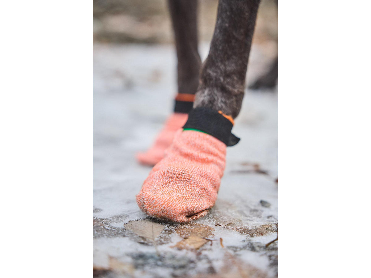 Non-stop dogwear Protector light socks potesokker – Oransje