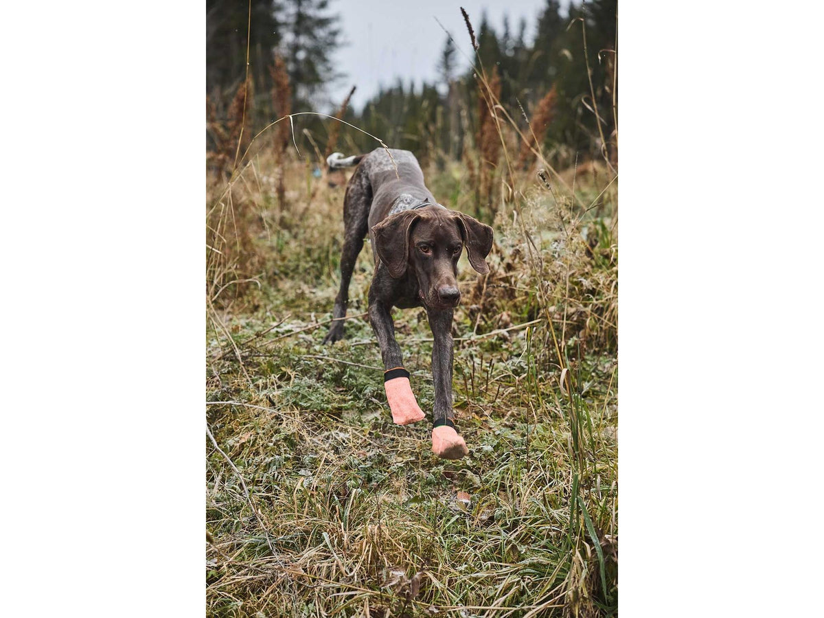 Non-stop dogwear Protector light socks potesokker – Oransje