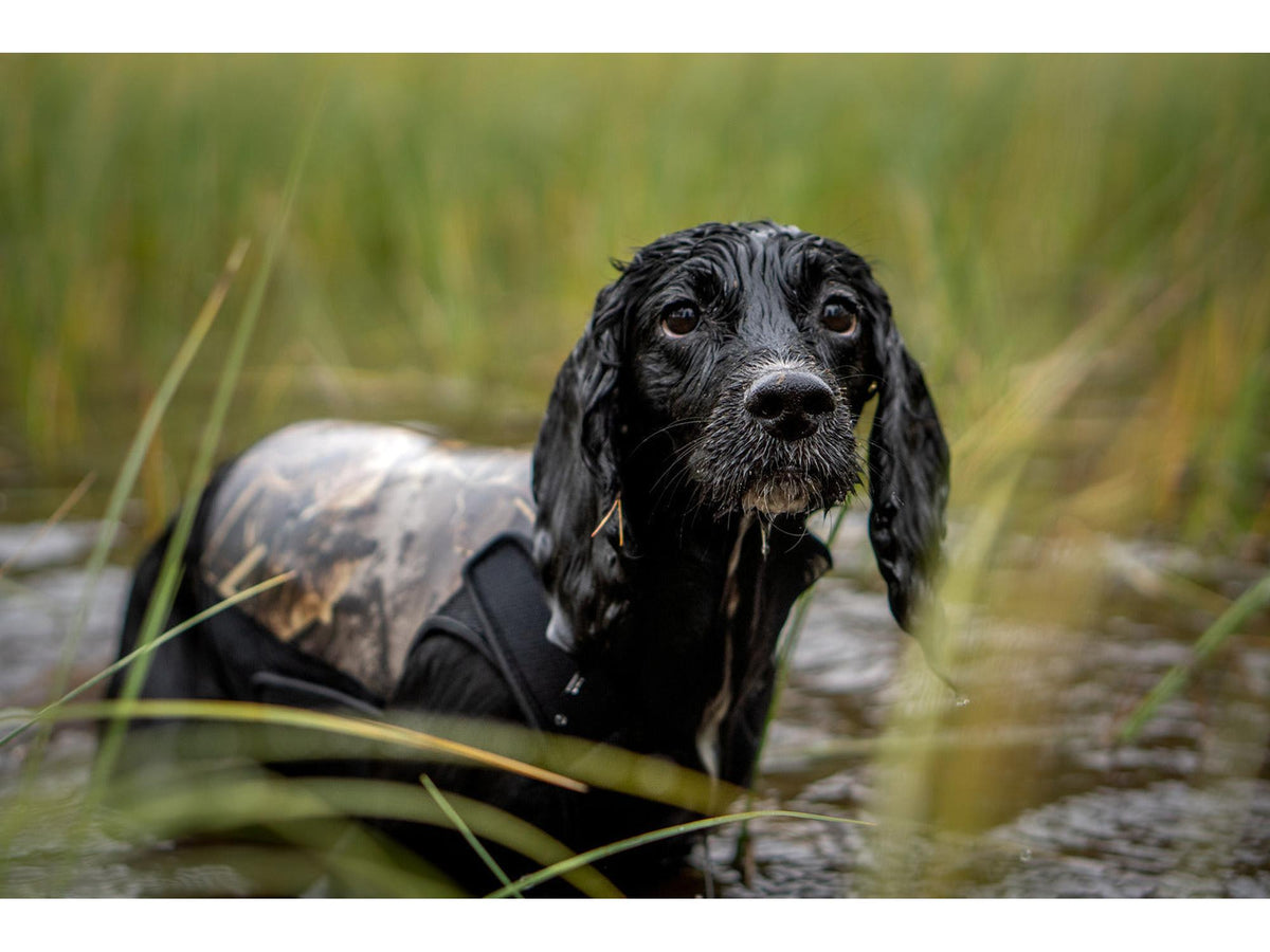 Non-stop dogwear Protector neoprene vest light neoprenvest – Realtree camo