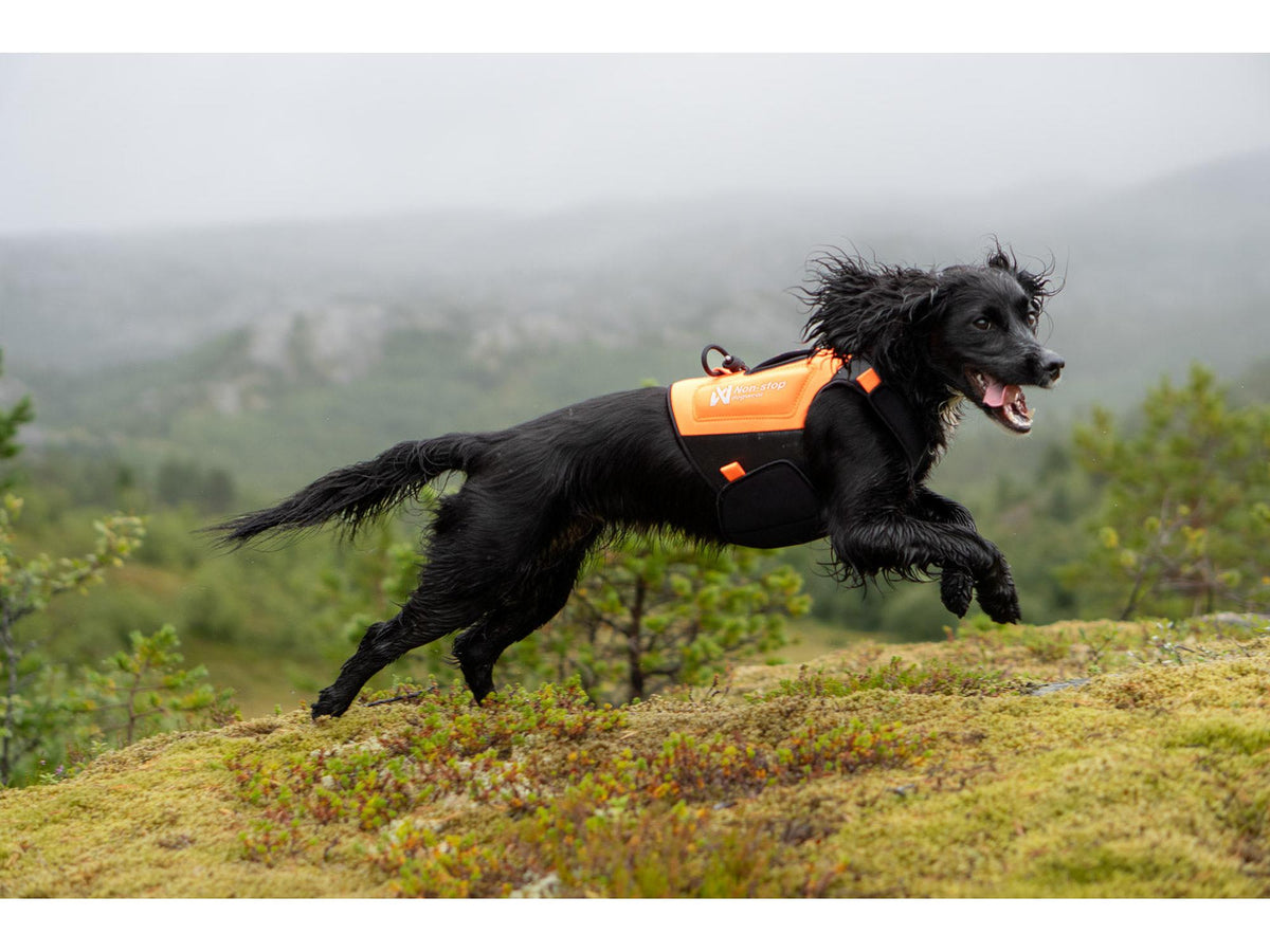 Non-stop dogwear Protector neoprene vest neoprenvest – Oransje