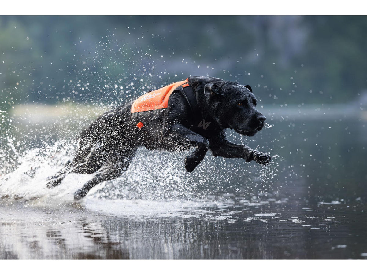 Non-stop dogwear Protector neoprene vest neoprenvest – Oransje