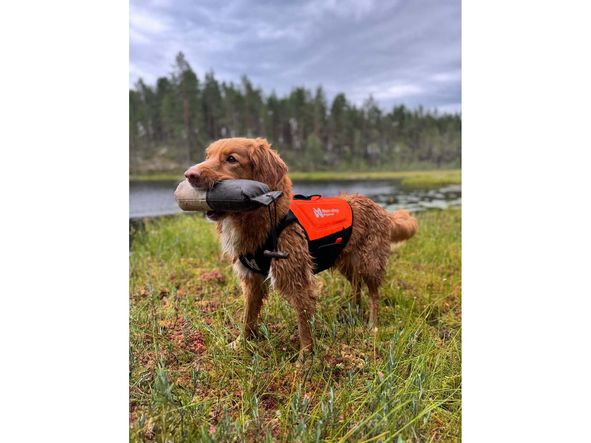 Non-stop dogwear Protector neoprene vest neoprenvest – Oransje